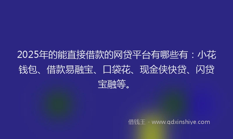 2025年的能直接借款的网贷平台有哪些有：小花钱包、借款易融宝、口袋花、现金侠快贷、闪贷宝融等。
