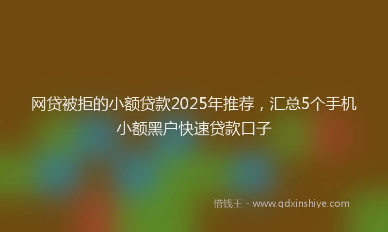 网贷被拒的小额贷款2025年推荐，汇总5个手机小额黑户快速贷款口子