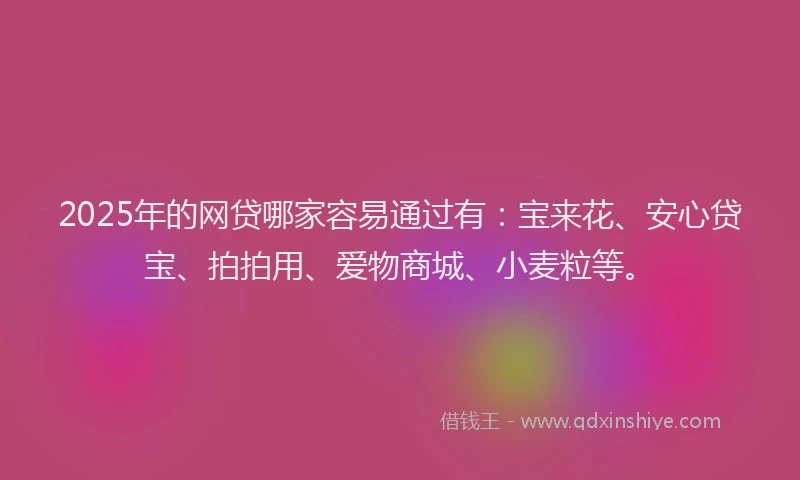 2025年的网贷哪家容易通过有：宝来花、安心贷宝、拍拍用、爱物商城、小麦粒等。