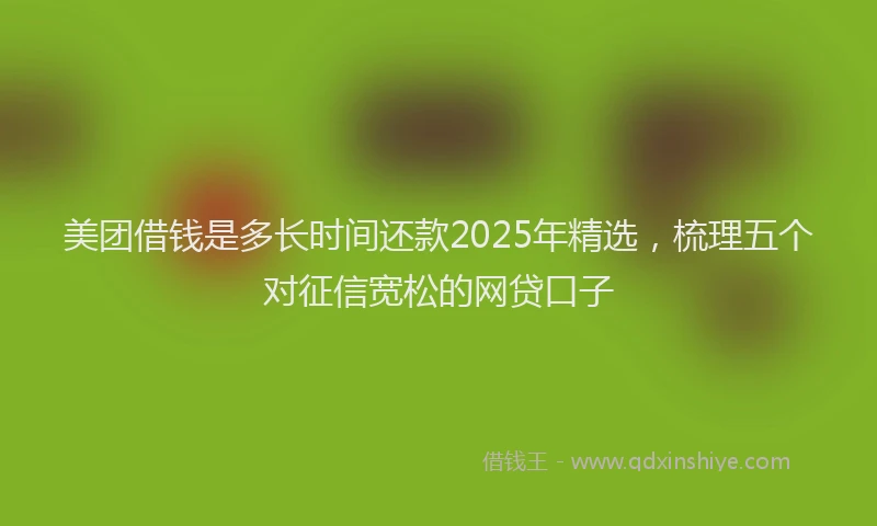 美团借钱是多长时间还款2025年精选，梳理五个对征信宽松的网贷口子