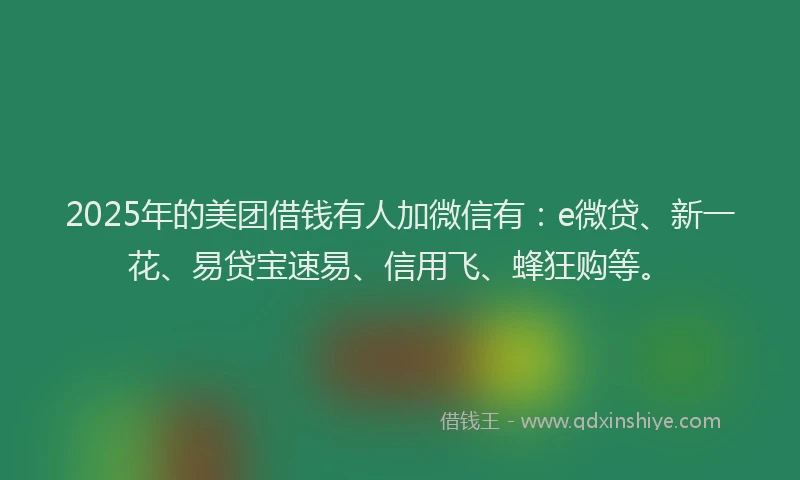 2025年的美团借钱有人加微信有：e微贷、新一花、易贷宝速易、信用飞、蜂狂购等。