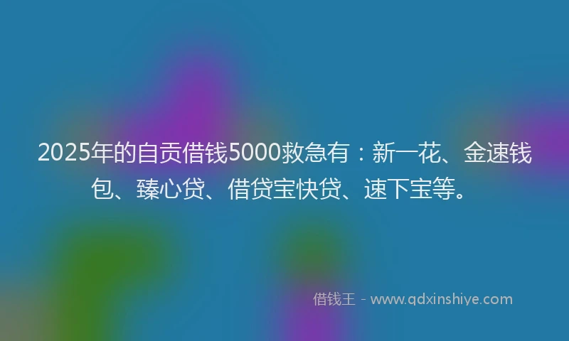 2025年的自贡借钱5000救急有：新一花、金速钱包、臻心贷、借贷宝快贷、速下宝等。
