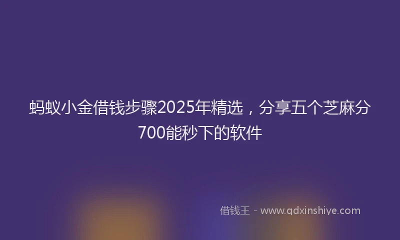 蚂蚁小金借钱步骤2025年精选，分享五个芝麻分700能秒下的软件