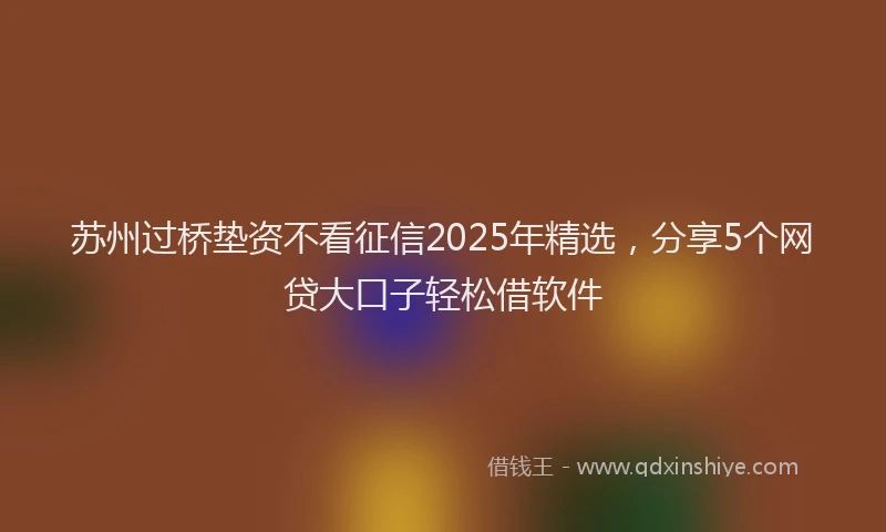 苏州过桥垫资不看征信2025年精选，分享5个网贷大口子轻松借软件
