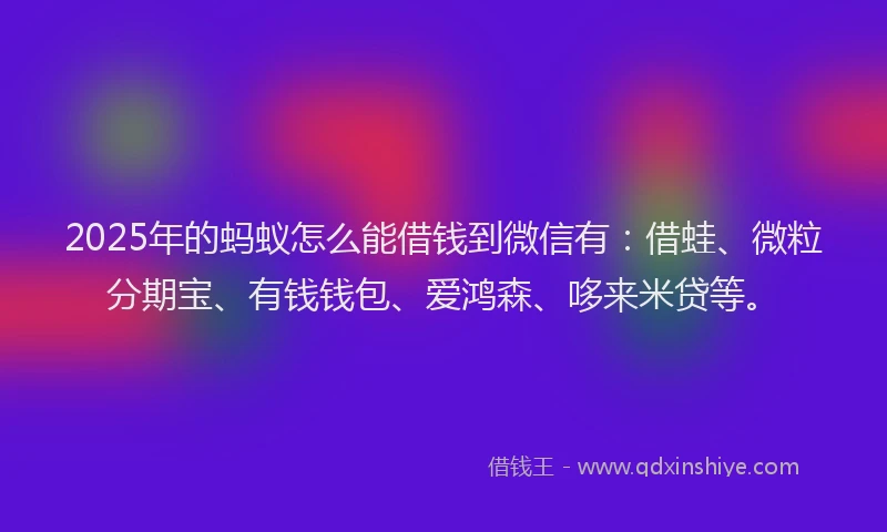 2025年的蚂蚁怎么能借钱到微信有：借蛙、微粒分期宝、有钱钱包、爱鸿森、哆来米贷等。