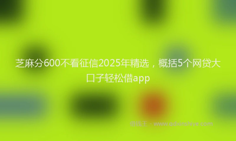 芝麻分600不看征信2025年精选，概括5个网贷大口子轻松借app