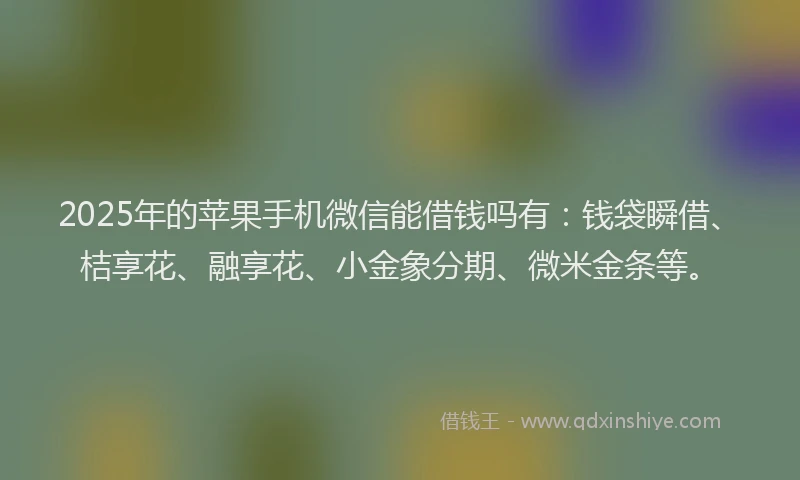 2025年的苹果手机微信能借钱吗有：钱袋瞬借、桔享花、融享花、小金象分期、微米金条等。
