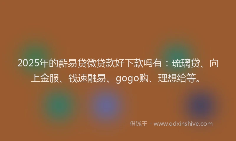 2025年的薪易贷微贷款好下款吗有：琉璃贷、向上金服、钱速融易、gogo购、理想给等。
