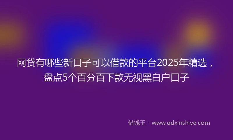 网贷有哪些新口子可以借款的平台2025年精选，盘点5个百分百下款无视黑白户口子