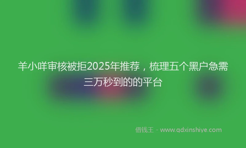 羊小咩审核被拒2025年推荐，梳理五个黑户急需三万秒到的的平台