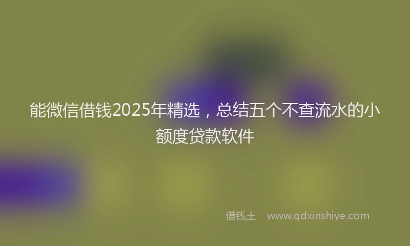 能微信借钱2025年精选，总结五个不查流水的小额度贷款软件