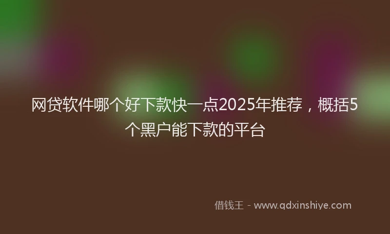 网贷软件哪个好下款快一点2025年推荐，概括5个黑户能下款的平台