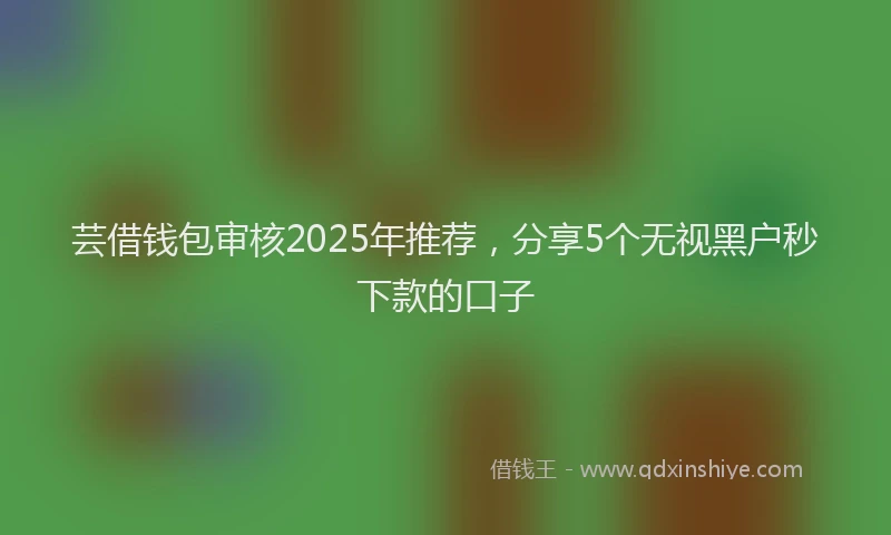 芸借钱包审核2025年推荐，分享5个无视黑户秒下款的口子