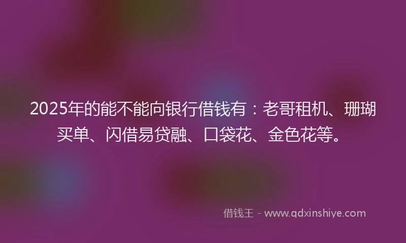 2025年的能不能向银行借钱有：老哥租机、珊瑚买单、闪借易贷融、口袋花、金色花等。