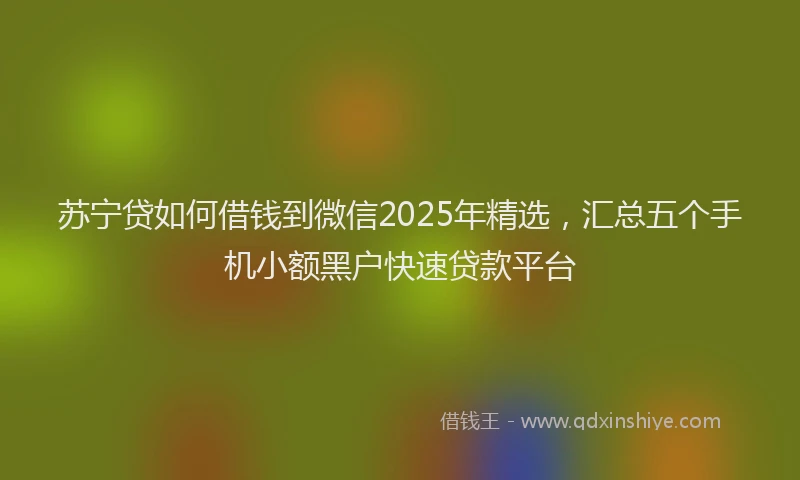 苏宁贷如何借钱到微信2025年精选，汇总五个手机小额黑户快速贷款平台