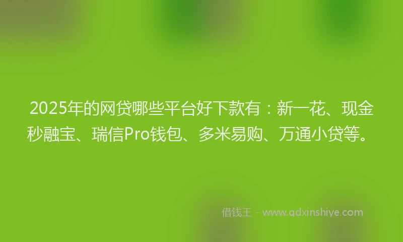 2025年的网贷哪些平台好下款有：新一花、现金秒融宝、瑞信Pro钱包、多米易购、万通小贷等。