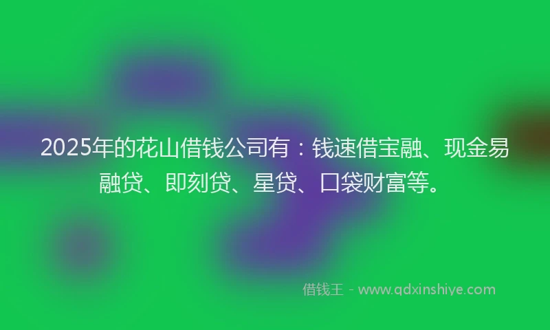 2025年的花山借钱公司有：钱速借宝融、现金易融贷、即刻贷、星贷、口袋财富等。