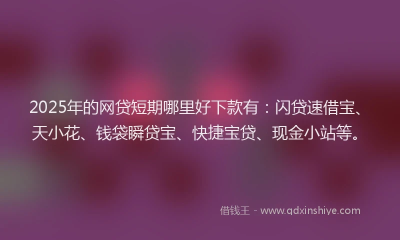 2025年的网贷短期哪里好下款有：闪贷速借宝、天小花、钱袋瞬贷宝、快捷宝贷、现金小站等。