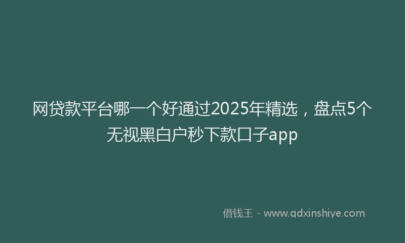 网贷款平台哪一个好通过2025年精选，盘点5个无视黑白户秒下款口子app
