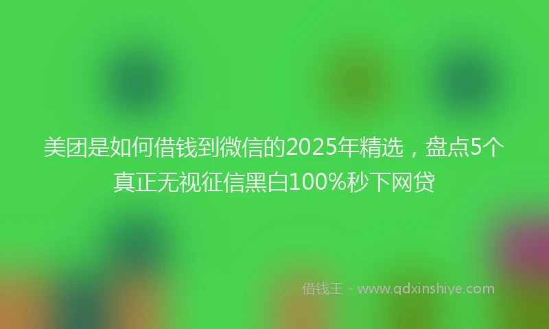 美团是如何借钱到微信的2025年精选，盘点5个真正无视征信黑白100%秒下网贷