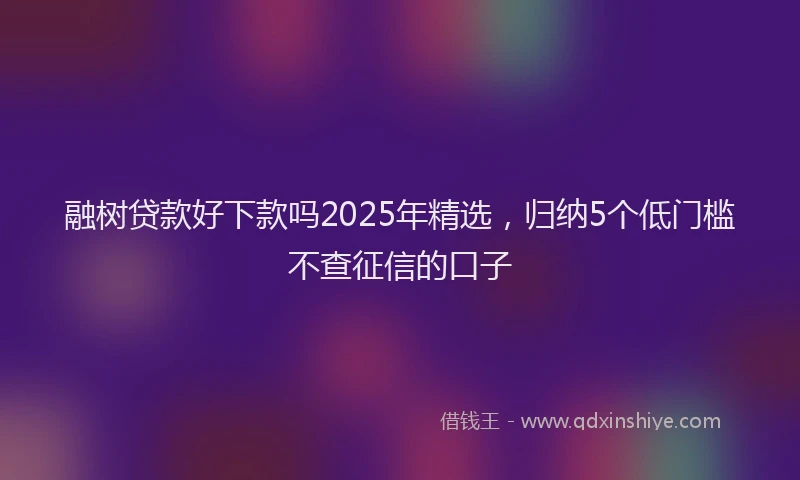 融树贷款好下款吗2025年精选，归纳5个低门槛不查征信的口子