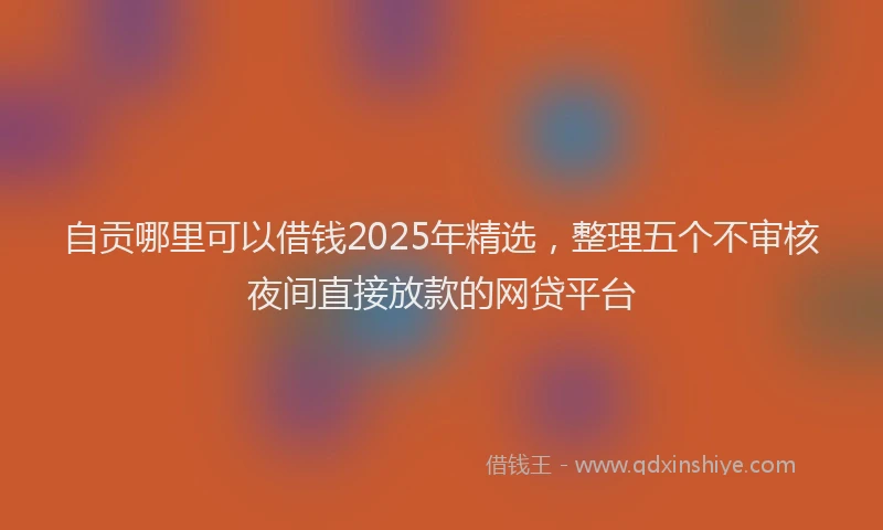 自贡哪里可以借钱2025年精选，整理五个不审核夜间直接放款的网贷平台