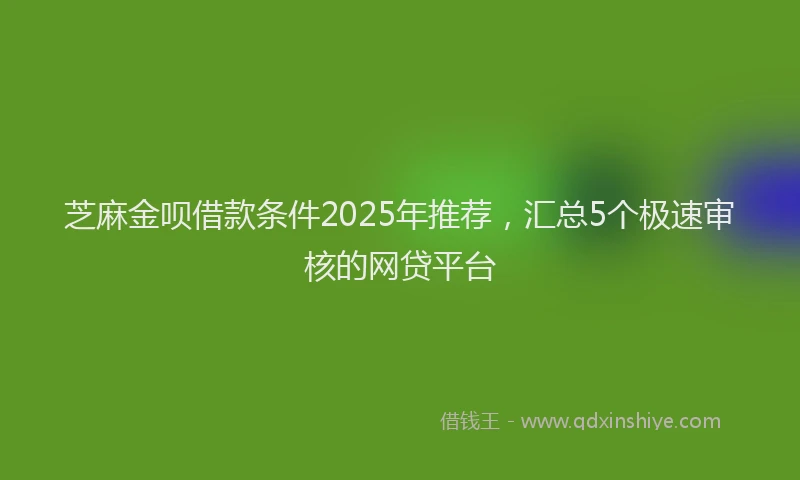 芝麻金呗借款条件2025年推荐，汇总5个极速审核的网贷平台