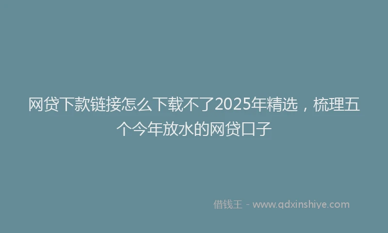 网贷下款链接怎么下载不了2025年精选，梳理五个今年放水的网贷口子