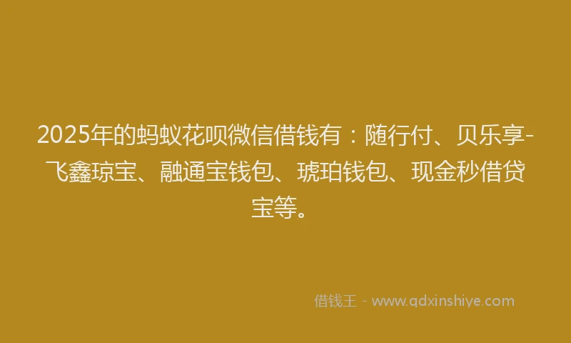 2025年的蚂蚁花呗微信借钱有：随行付、贝乐享-飞鑫琼宝、融通宝钱包、琥珀钱包、现金秒借贷宝等。