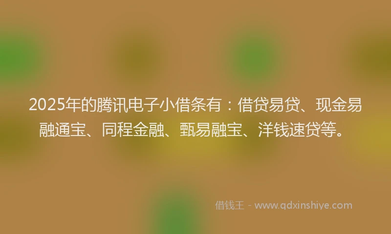 2025年的腾讯电子小借条有：借贷易贷、现金易融通宝、同程金融、甄易融宝、洋钱速贷等。