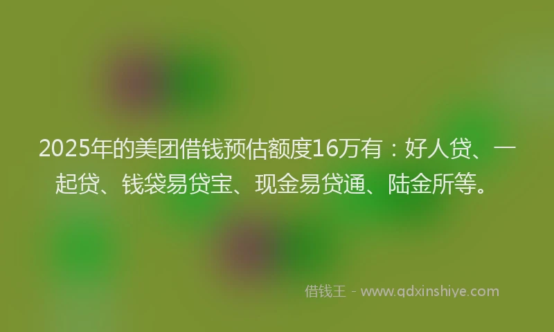 2025年的美团借钱预估额度16万有：好人贷、一起贷、钱袋易贷宝、现金易贷通、陆金所等。