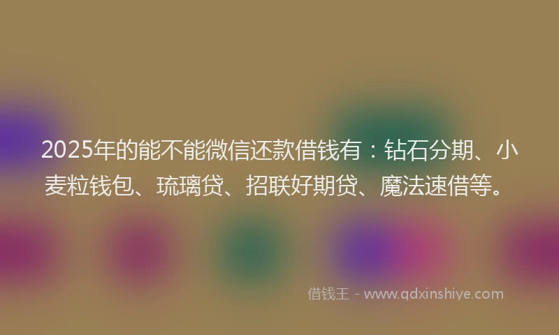 2025年的能不能微信还款借钱有：钻石分期、小麦粒钱包、琉璃贷、招联好期贷、魔法速借等。