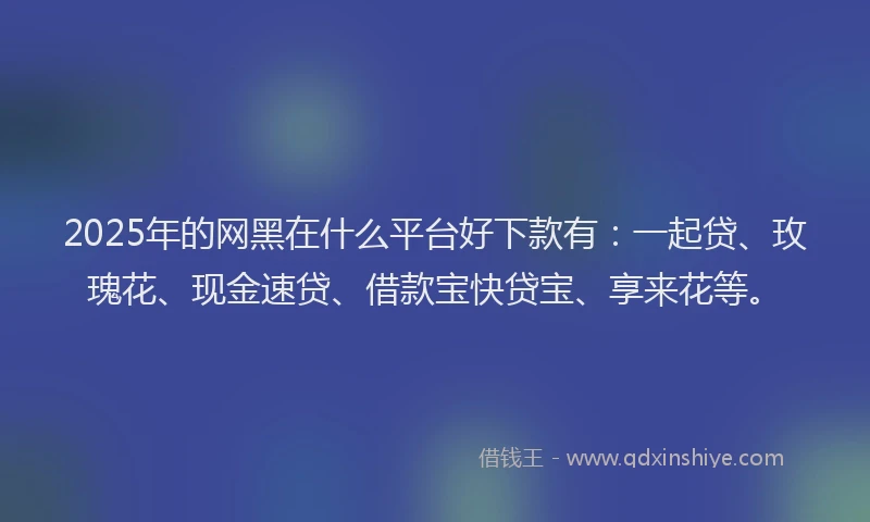 2025年的网黑在什么平台好下款有：一起贷、玫瑰花、现金速贷、借款宝快贷宝、享来花等。