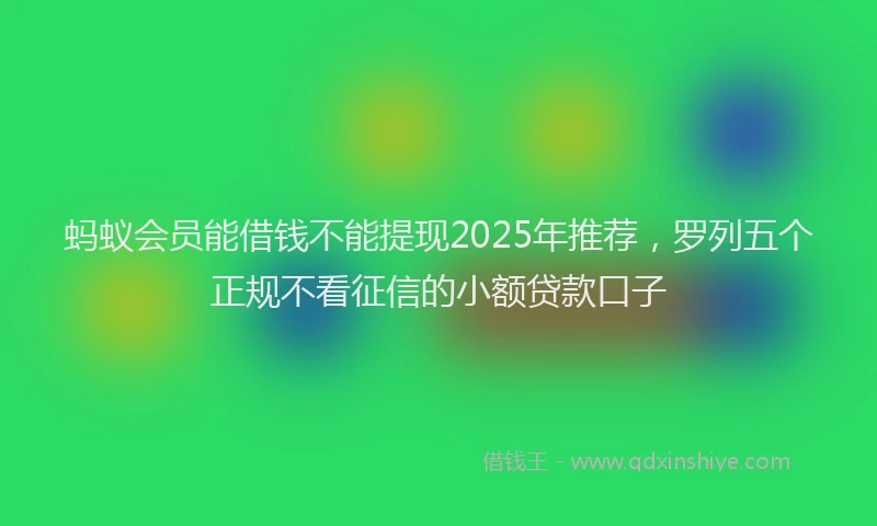蚂蚁会员能借钱不能提现2025年推荐，罗列五个正规不看征信的小额贷款口子