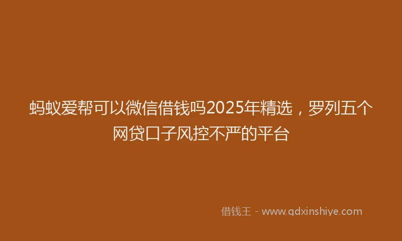 蚂蚁爱帮可以微信借钱吗2025年精选，罗列五个网贷口子风控不严的平台
