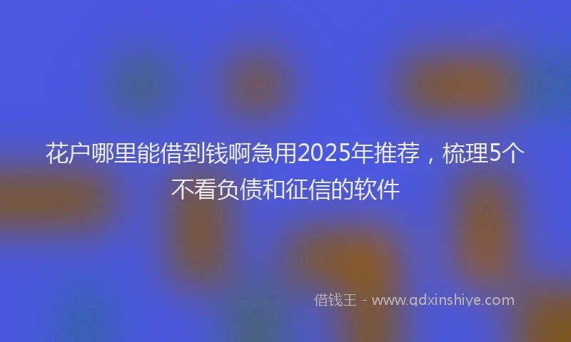 花户哪里能借到钱啊急用2025年推荐，梳理5个不看负债和征信的软件