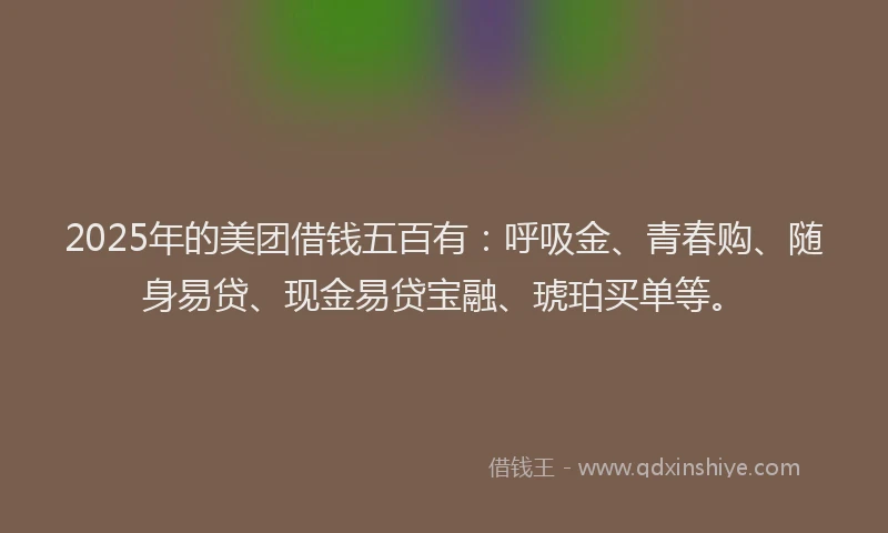 2025年的美团借钱五百有：呼吸金、青春购、随身易贷、现金易贷宝融、琥珀买单等。