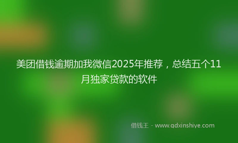 美团借钱逾期加我微信2025年推荐，总结五个11月独家贷款的软件