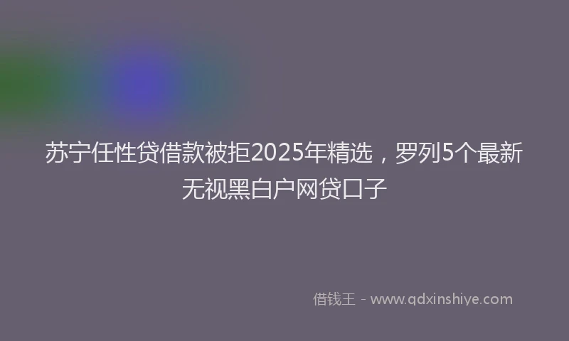 苏宁任性贷借款被拒2025年精选，罗列5个最新无视黑白户网贷口子