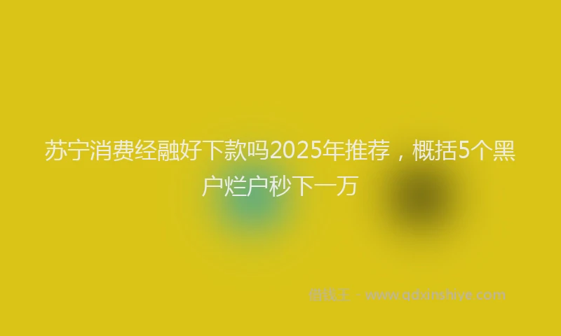 苏宁消费经融好下款吗2025年推荐，概括5个黑户烂户秒下一万