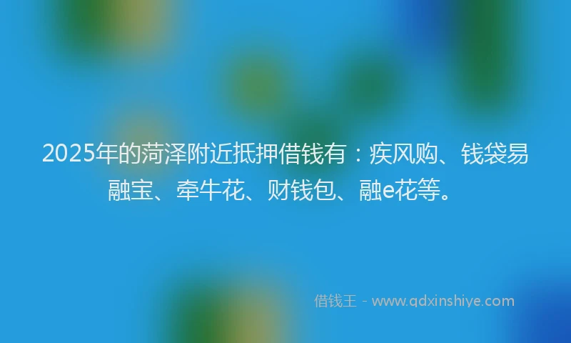 2025年的菏泽附近抵押借钱有：疾风购、钱袋易融宝、牵牛花、财钱包、融e花等。