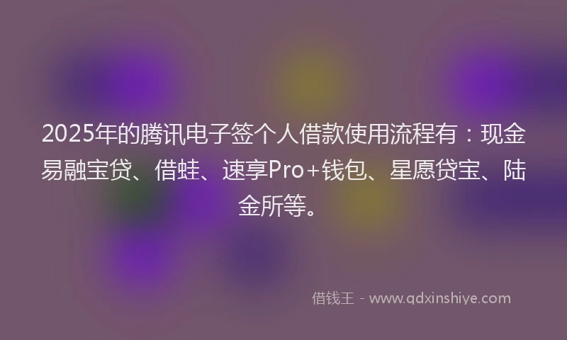 2025年的腾讯电子签个人借款使用流程有：现金易融宝贷、借蛙、速享Pro+钱包、星愿贷宝、陆金所等。