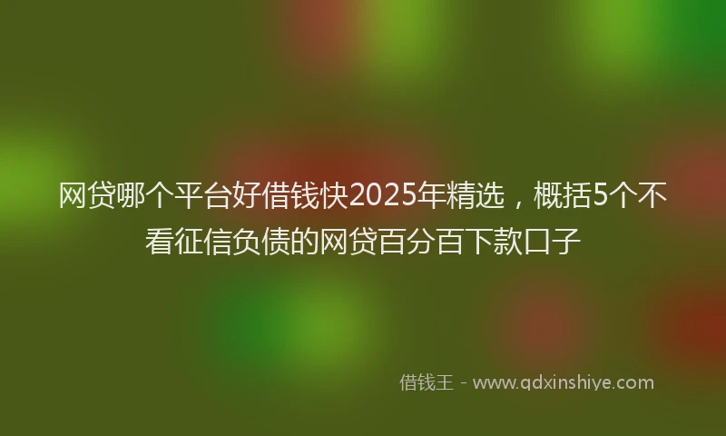 网贷哪个平台好借钱快2025年精选，概括5个不看征信负债的网贷百分百下款口子