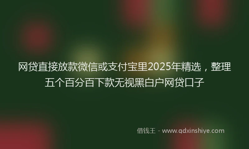 网贷直接放款微信或支付宝里2025年精选，整理五个百分百下款无视黑白户网贷口子
