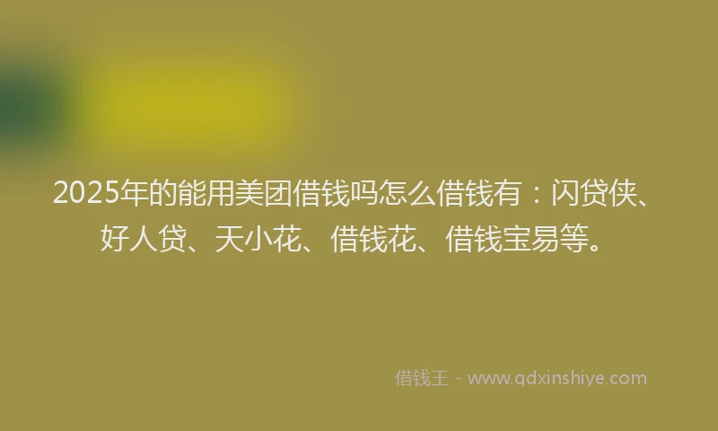 2025年的能用美团借钱吗怎么借钱有：闪贷侠、好人贷、天小花、借钱花、借钱宝易等。