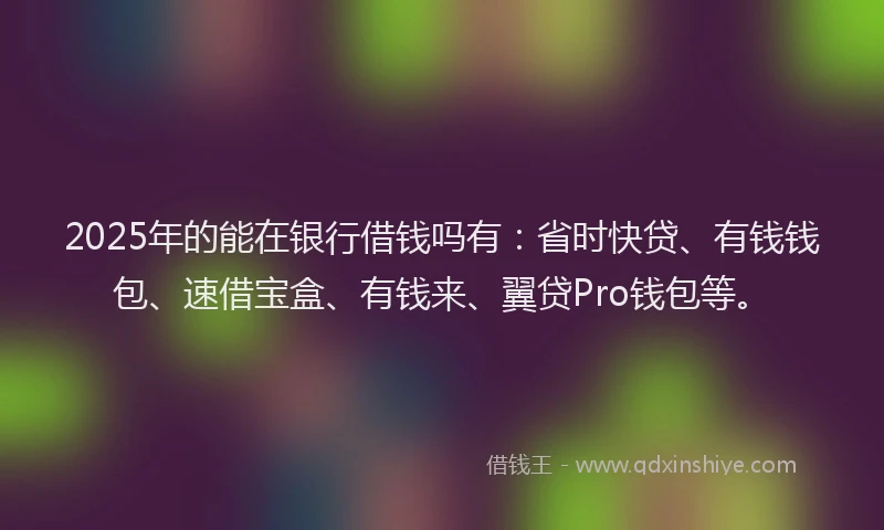 2025年的能在银行借钱吗有：省时快贷、有钱钱包、速借宝盒、有钱来、翼贷Pro钱包等。