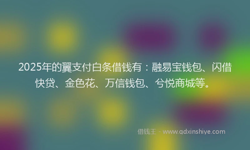 2025年的翼支付白条借钱有：融易宝钱包、闪借快贷、金色花、万信钱包、兮悦商城等。
