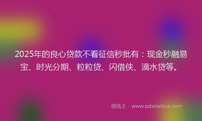 2025年的良心贷款不看征信秒批有：现金秒融易宝、时光分期、粒粒贷、闪借侠、滴水贷等。