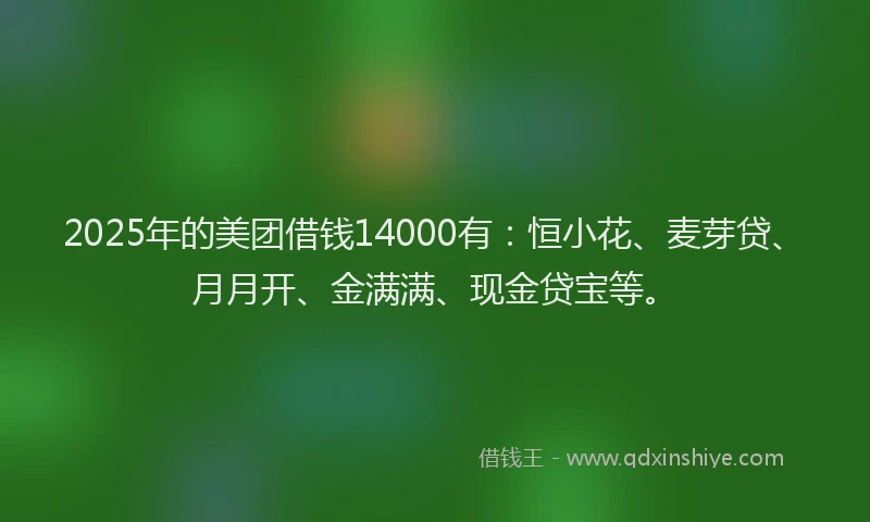 2025年的美团借钱14000有：恒小花、麦芽贷、月月开、金满满、现金贷宝等。