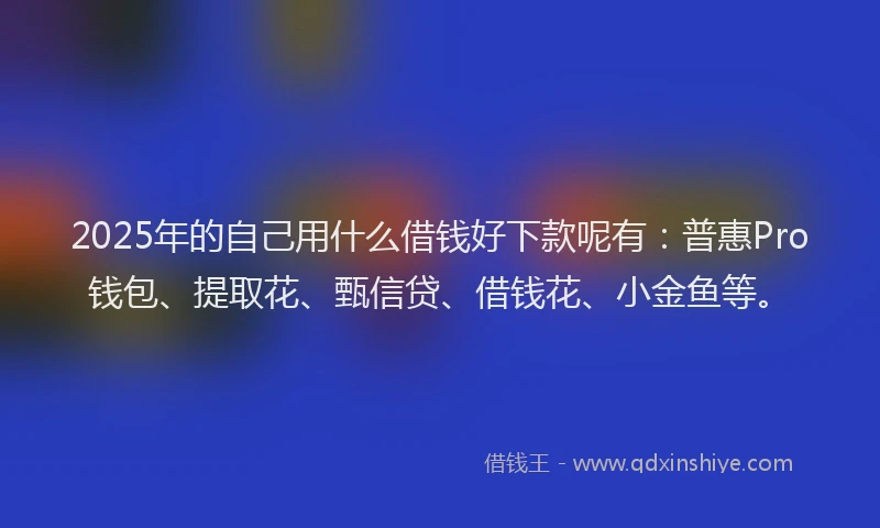2025年的自己用什么借钱好下款呢有：普惠Pro钱包、提取花、甄信贷、借钱花、小金鱼等。